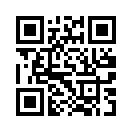 QR CODE 377