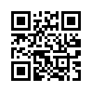 QR CODE 378