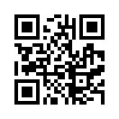 QR CODE 379