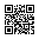 QR CODE 386