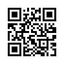 QR CODE 394