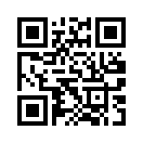 QR CODE 395