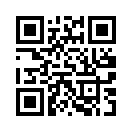 QR CODE 461