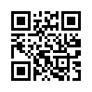 QR CODE 498