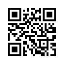 QR CODE 501