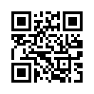 QR CODE 519