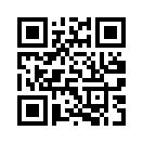 QR CODE 667