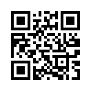 QR CODE 669