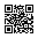 QR CODE 821