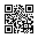 QR CODE 132