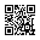 QR CODE 133