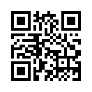 QR CODE 53
