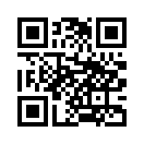 QR CODE 528