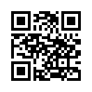 QR CODE 529