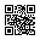 QR CODE 538