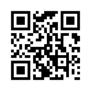 QR CODE 316