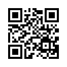 QR CODE 336