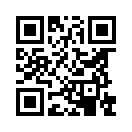 QR CODE 494