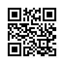 QR CODE 2393