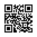 QR CODE 3593