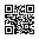 QR CODE 3771