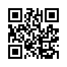 QR CODE 3838