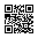 QR CODE 3883