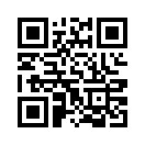 QR CODE 110