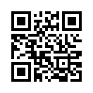 QR CODE 113