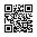 QR CODE 133