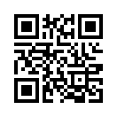 QR CODE 35