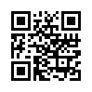 QR CODE 229