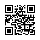 QR CODE 239