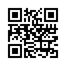 QR CODE 31