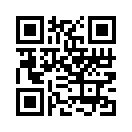 QR CODE 53