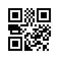 QR CODE 133