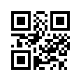 QR CODE 290