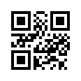 QR CODE 292