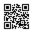 QR CODE 292