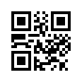 QR CODE 31