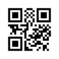 QR CODE 391