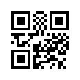 QR CODE 393