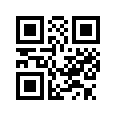 QR CODE 394