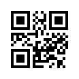 QR CODE 411