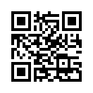 QR CODE 307