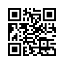 QR CODE 310