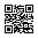QR CODE 317