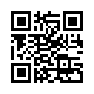 QR CODE 329