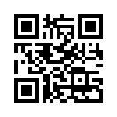 QR CODE 344
