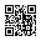 QR CODE 307